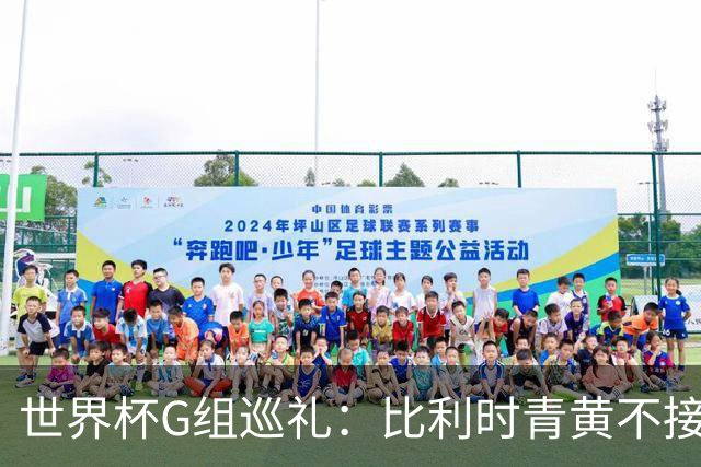 世界杯G组巡礼：比利时青黄不接 伊朗赴美参赛风波不断