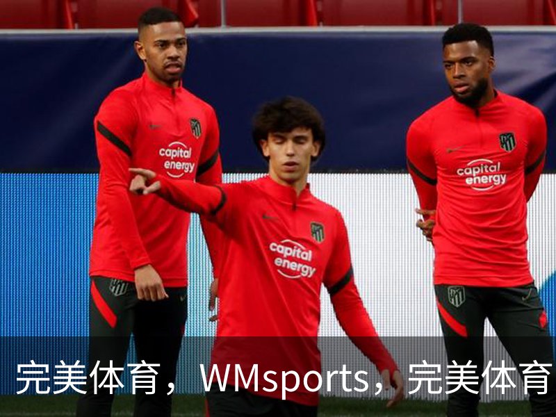 完美体育，WMsports，完美体育官方，完美体育平台，完美体育下载概况